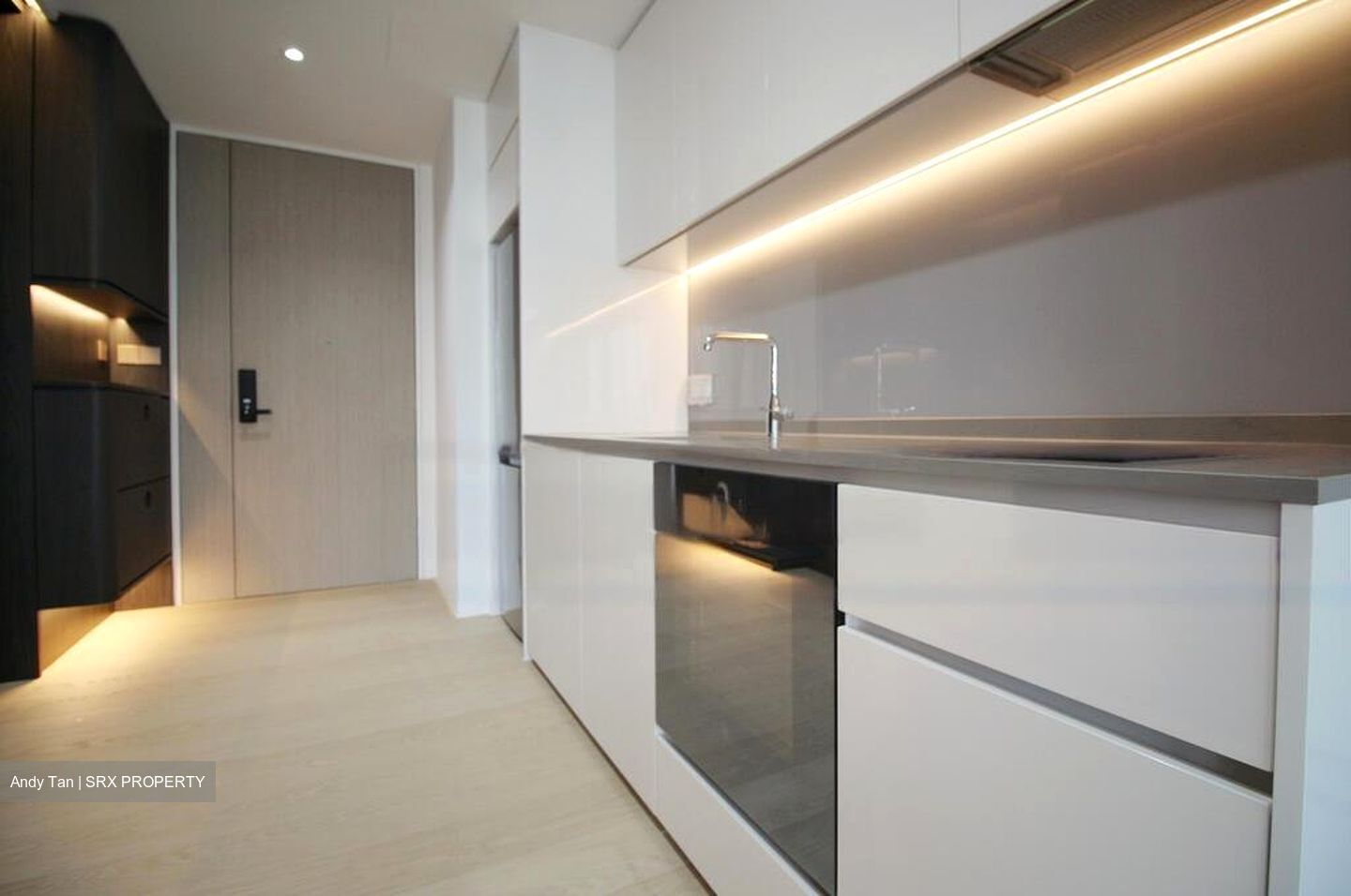 Amber Park (D15), Condominium #466450071